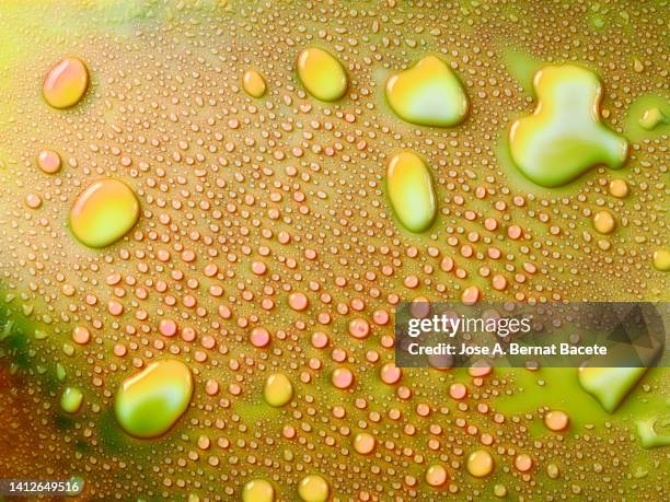 Yellow Ice Texture 19,023 Yellow Ice Stock Photos, High-Res Pictures, and Images - Getty ...