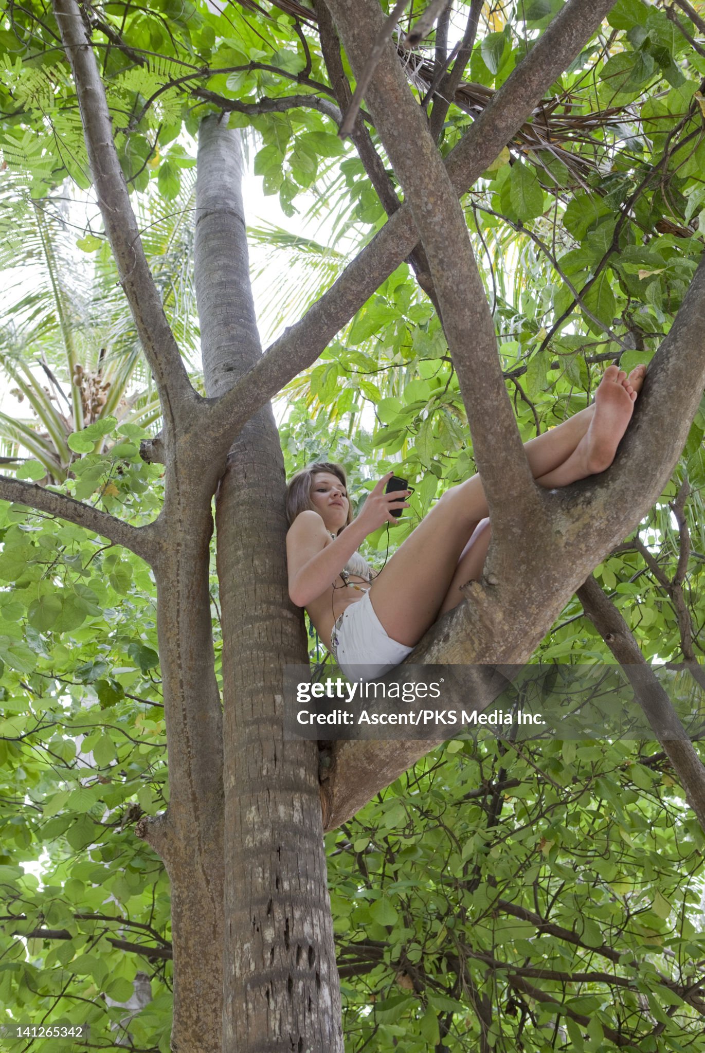 https://media.gettyimages.com/id/141265342/photo/teenage-girl-sits-in-jungle-canopy-sends-text.jpg?s=2048x2048&amp;w=gi&amp;k=20&amp;c=k7F4mlOjHJWs2ncyzn3cS08ETgVfB87zeeegPIQ4H1A=