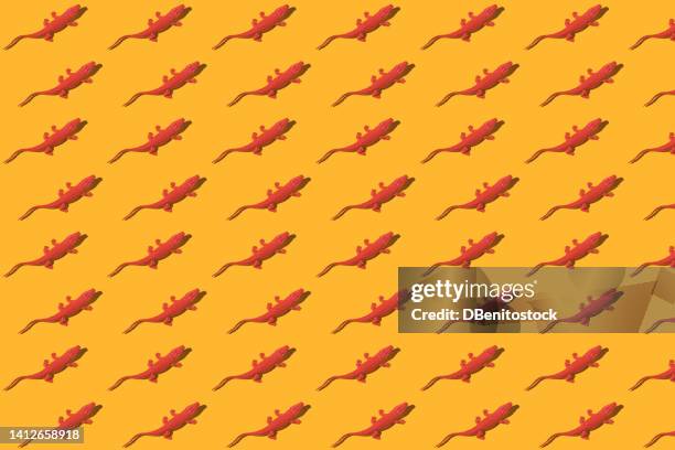 131 Animal Teeth For Sale Photos and Premium High Res Pictures - Getty Images 131 Animal Teeth For Sale Photos and Premium High Res Pictures - Getty Images