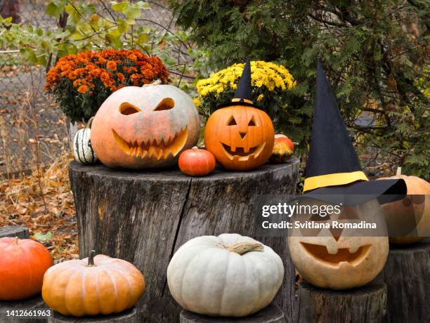 halloween pumpkins - halloween decoration fotografías e imágenes de stock