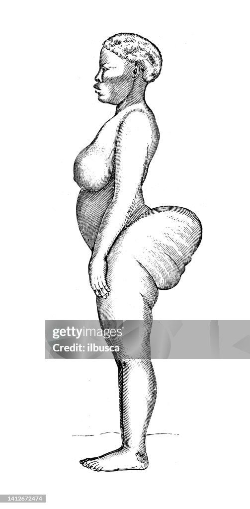 Antique illustration, ethnography and indigenous cultures: Africa, Khoekhoe woman