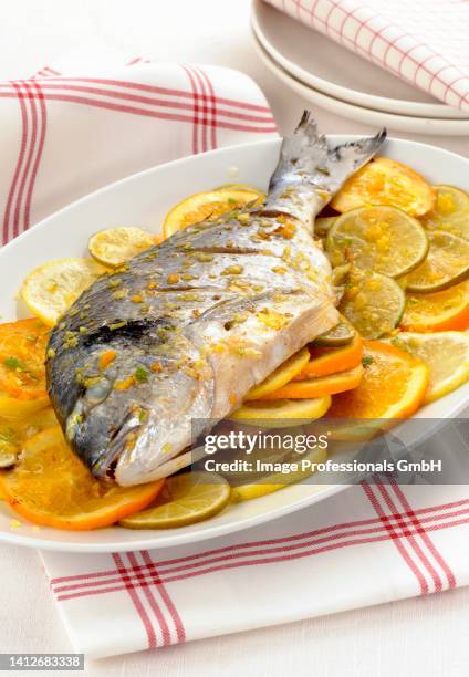 orata al forno agli agrumi (seabream with citrus fruits, italy) - orata stock-fotos und bilder