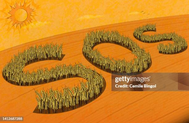 the global food crisis - arid climate stock illustrations