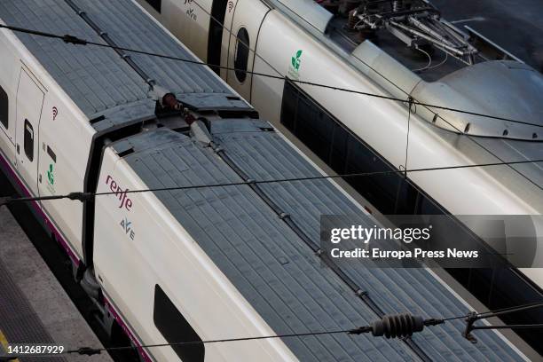 Two AVE trains parked at Puerta de Atocha station, on August 3 in Madrid, Spain. The Government has extended rail travel bonuses with a 50% discount...