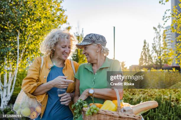 retrato de mujer madura y mayor con una cesta llena de verduras y frutas frescas - mercado de productos de granja fotografías e imágenes de stock