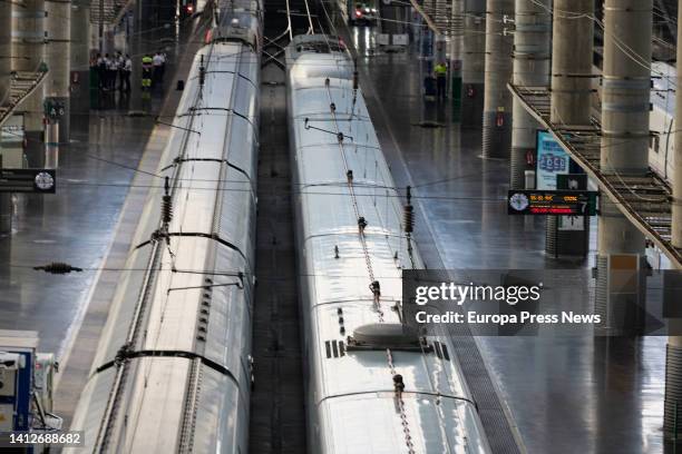 Two AVE trains parked at Puerta de Atocha station, on August 3 in Madrid, Spain. The Government has extended rail travel bonuses with a 50% discount...