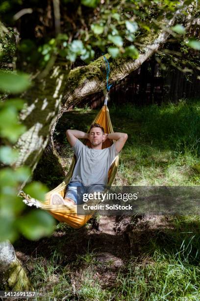 ruhige tage in der hängematte - hängematte stock-fotos und bilder