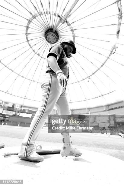 Image has been converted to black and white) Vladimir Guerrero Jr. #27 of the Toronto Blue Jays looks on during a game at Tropicana Field on August...