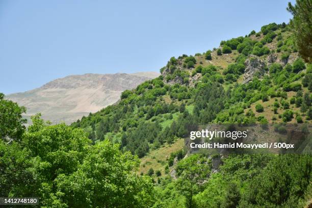 Javaher Deh Valeh Mazandaran Photos and Premium High Res Pictures - Getty Images