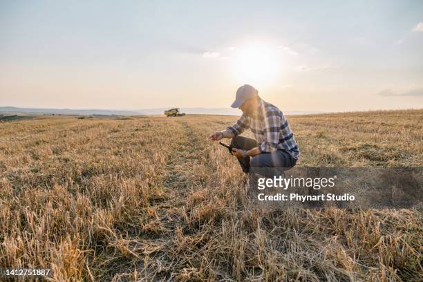 male farmer is holding a digital tablet in a farm field. smart farming - landbouwkundige stockfoto's en -beelden