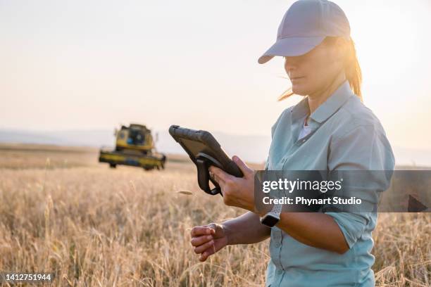 l'agricoltore donna tiene in mano un tablet digitale in un campo agricolo. agricoltura intelligente - farm worker foto e immagini stock