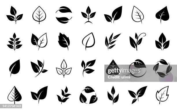 ilustrações de stock, clip art, desenhos animados e ícones de leaves icons set - bush