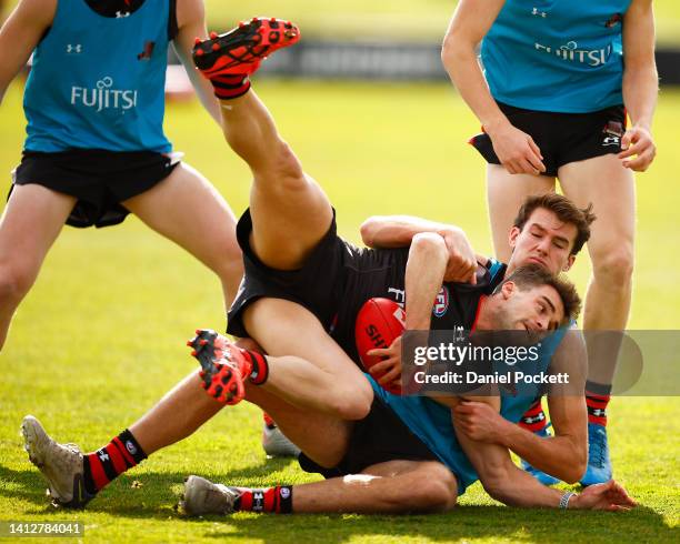 Daniel Snelling 70 Daniel Snelling Stock Photos, High-Res Pictures, and Images - Getty ...