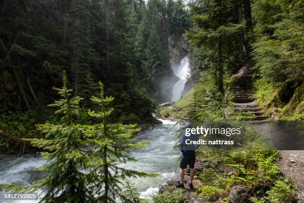 man exploring nature - hiking mature man stock pictures, royalty-free photos & images