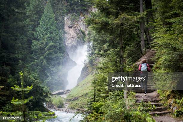 woman hiking in a lush green forest near a flowing river - spring path stock pictures, royalty-free photos & images