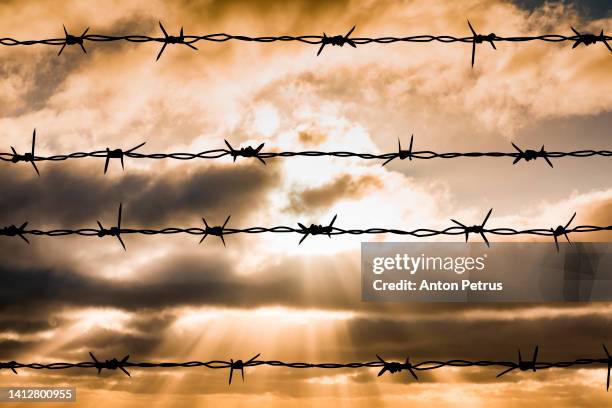 barbed wire on the background of sunset sky - arame farpado arame - fotografias e filmes do acervo