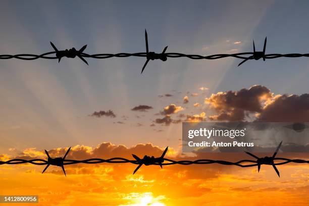 barbed wire on the background of sunset sky - martelaar stockfoto's en -beelden