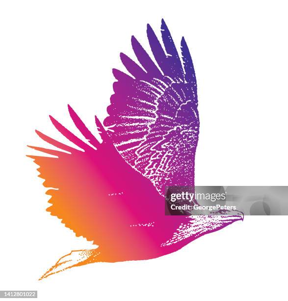 bald eagle flying - bald eagle wings spread stock illustrations