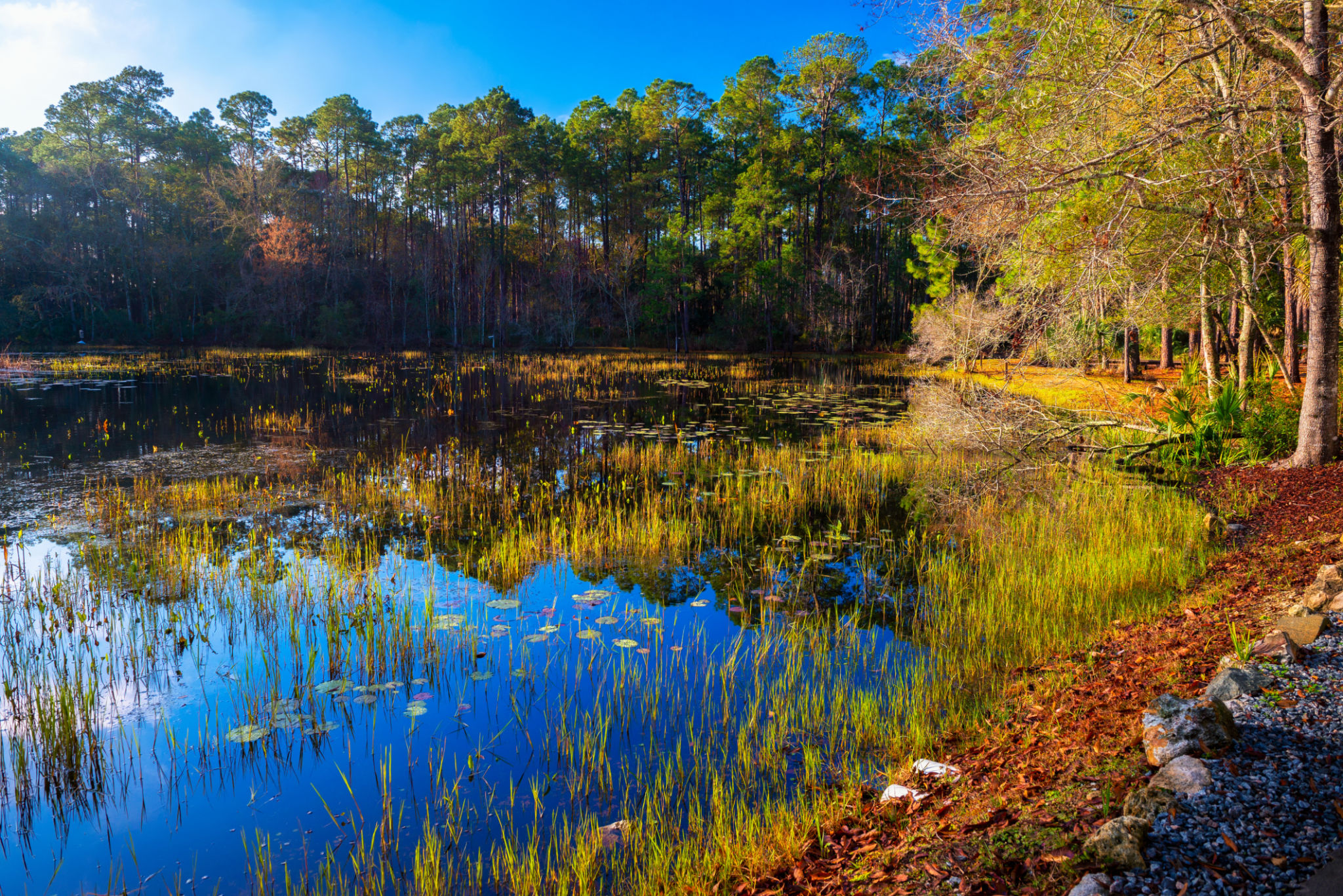 florida nature preserve