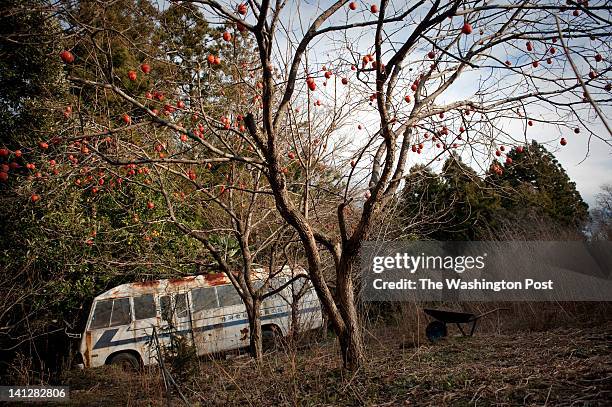 An abandoned bus sits behind persimmon tree inside the Fukushima Nuclear Exclusion Zone, Tomioka Town, Fukushima Prefecture on January 6, 2012.