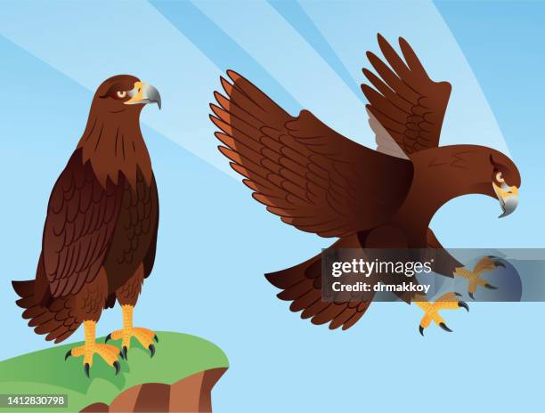 golden eagle flying, war eagle - imperial eagle stock illustrations