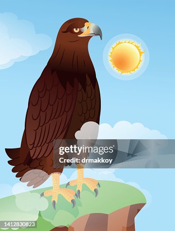 Golden eagle (Aquila chrysaetos) perched , War Eagle Golden eagle (Aquila chrysaetos) perched , War Eagle