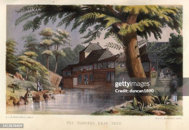 vintage illustration of japanese tea gardens near yedo (edo), japan, history, 19th century - japanese tea garden stock illustrations