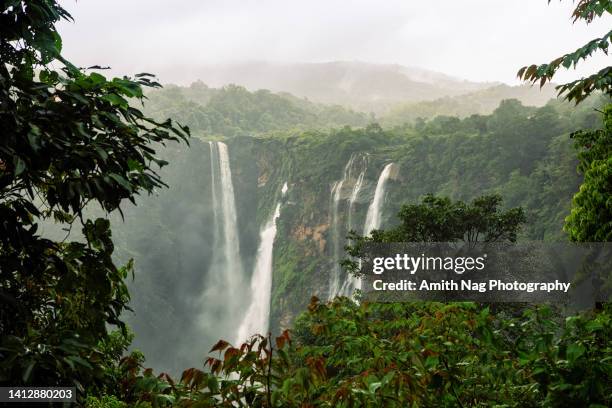 jog falls or gerosoppa falls - karnataka stock pictures, royalty-free photos & images