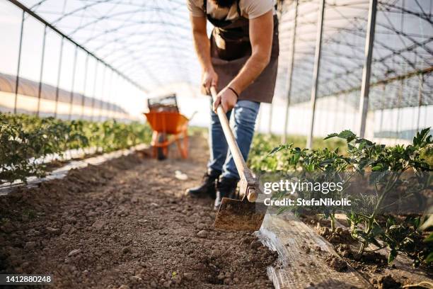 man digs a greenhouse - ho stock pictures, royalty-free photos & images