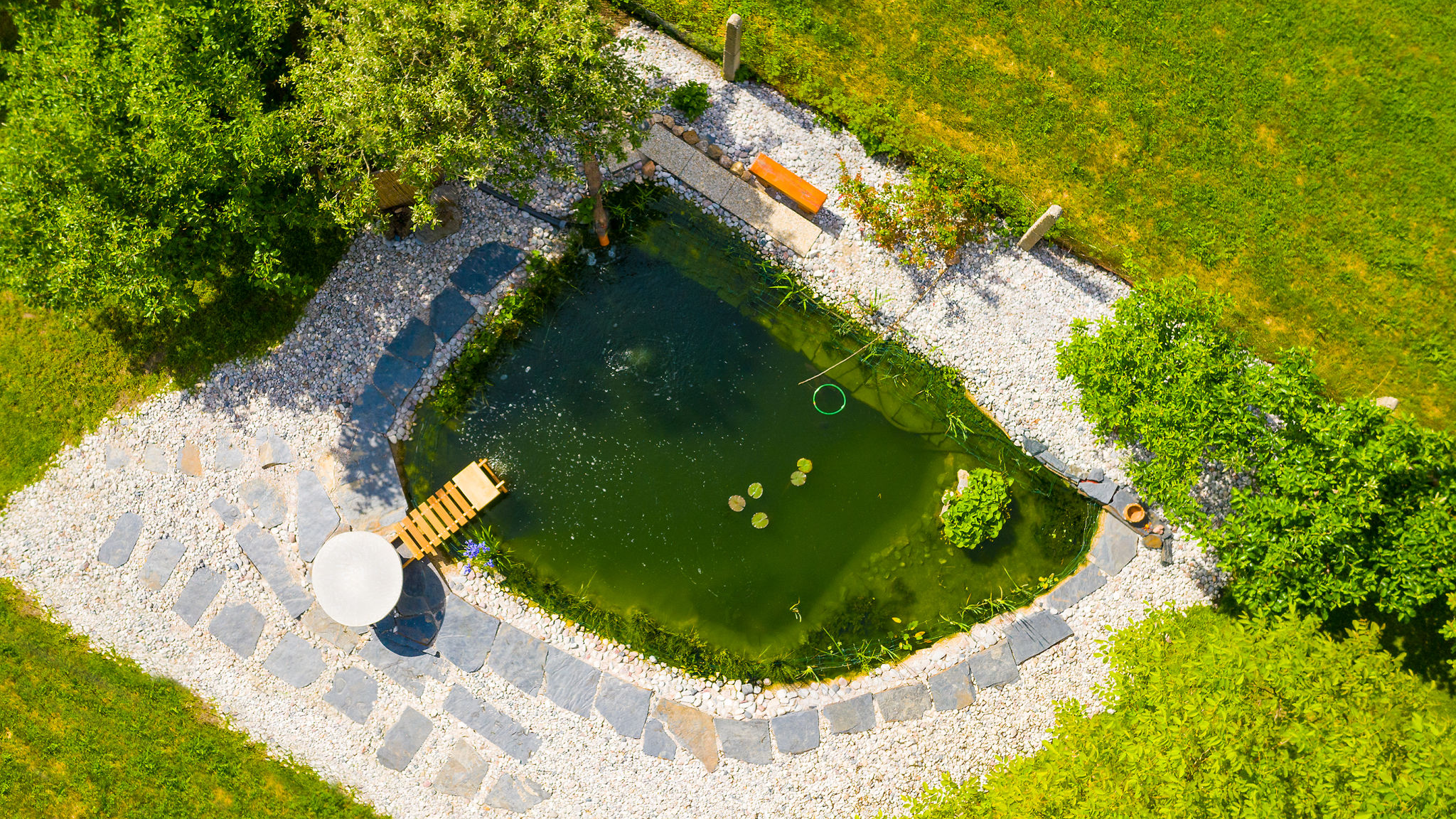 natural swimming pond