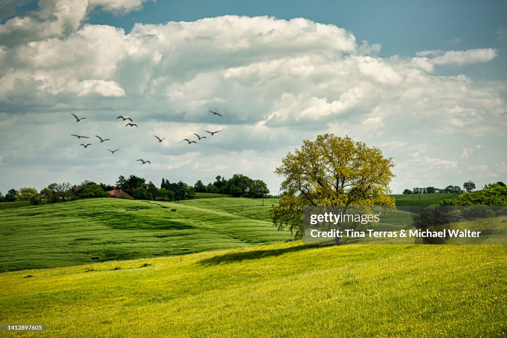 Beautiful Hilly Landscape On A Summer's Day In France.