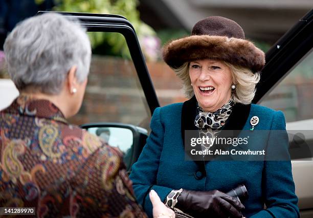 Camilla Duchess of Cornwall arrives at Cheltenham racecourse on ladies day during day two of the Cheltenham Festival on March 14, 2012 in Cheltenham,...