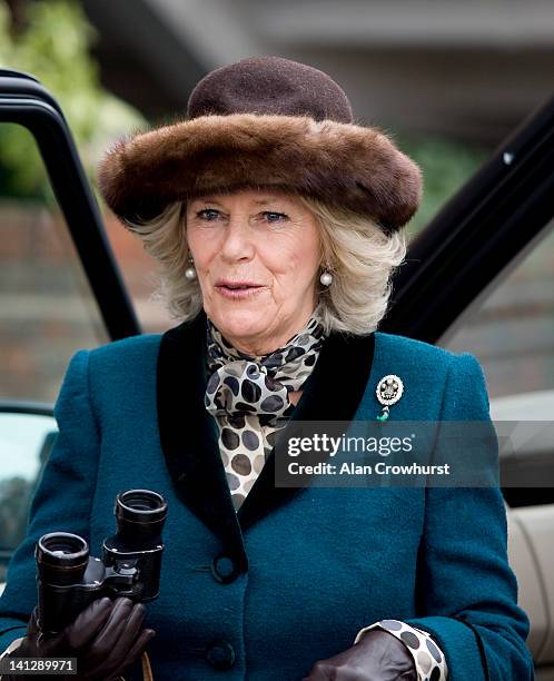 Camilla Duchess of Cornwall arrives at Cheltenham racecourse on ladies day during day two of the Cheltenham Festival on March 14, 2012 in Cheltenham,...