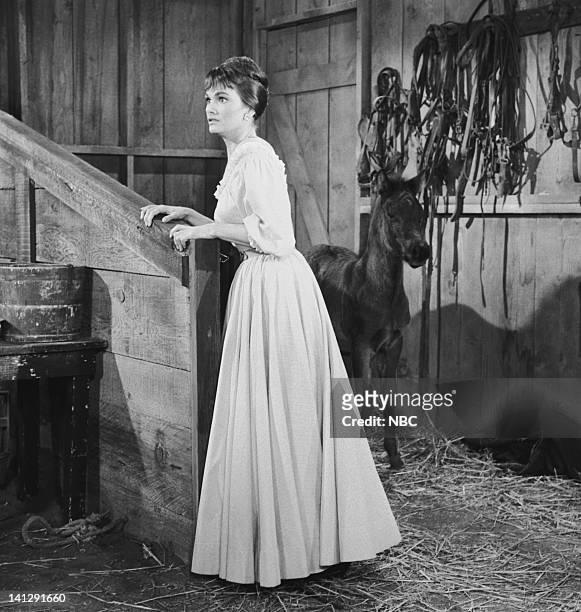 Escape to Ponderosa" Episode 25 -- Aired 3/5/60 -- Pictured: Gloria Talbott as Nedda -- Photo by: NBCU Photo Bank