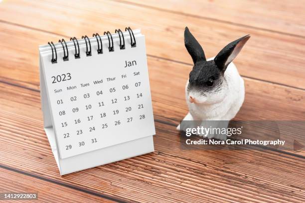 january 2023 desk calendar year of the rabbit - year of the rabbit photos et images de collection