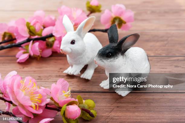 chinese new year of the rabbit - year of the rabbit stock pictures, royalty-free photos & images