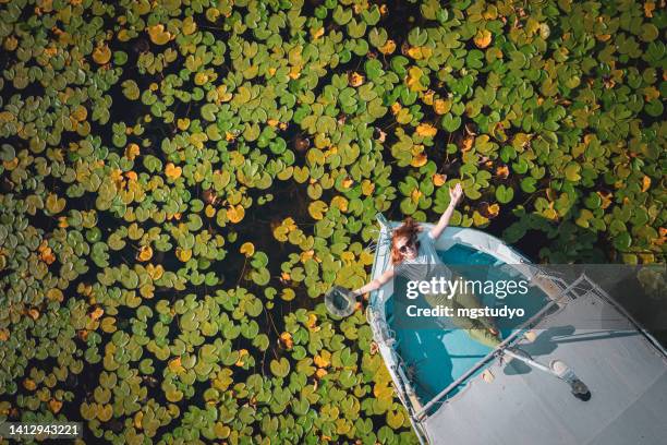 vista aérea de uma turista feliz deitada em um barco no meio do lago lotus water lily. - pântano - fotografias e filmes do acervo