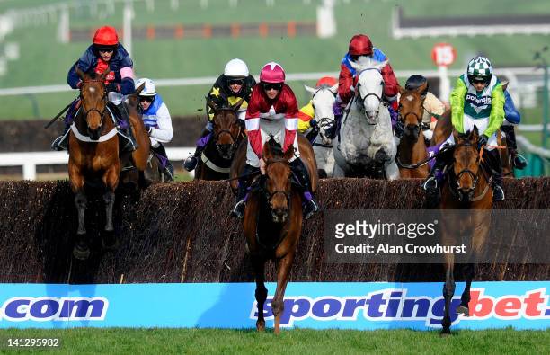 Barry Geraghty riding Bobs Worth on their way to winning The RSA Steeple Chase on ladies day during day two of the Cheltenham Festival at Cheltenham...