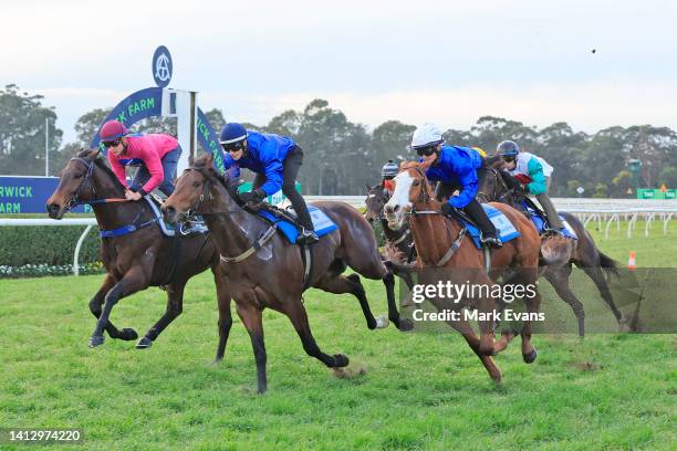 James McDonald on Anamoe wins heat 1 from Chad Schofield on Angel of Truth and Rachel King on Cascadian , during barrier trials at Warwick Farm...