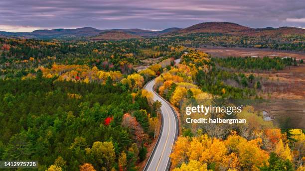 aerial view of road through forest in western maine in autumn - maine stockfoto's en -beelden