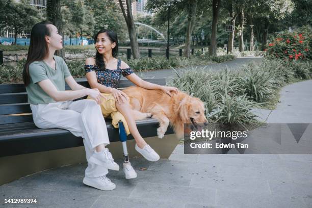 disable asian indonesian woman with prosthetic leg talking to her friend sitting on park bench with her dog - benen over elkaar geslagen stockfoto's en -beelden