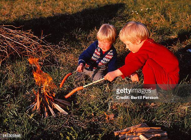 sisters barbecuing sausages by open fire - 1967 stock pictures, royalty-free photos & images