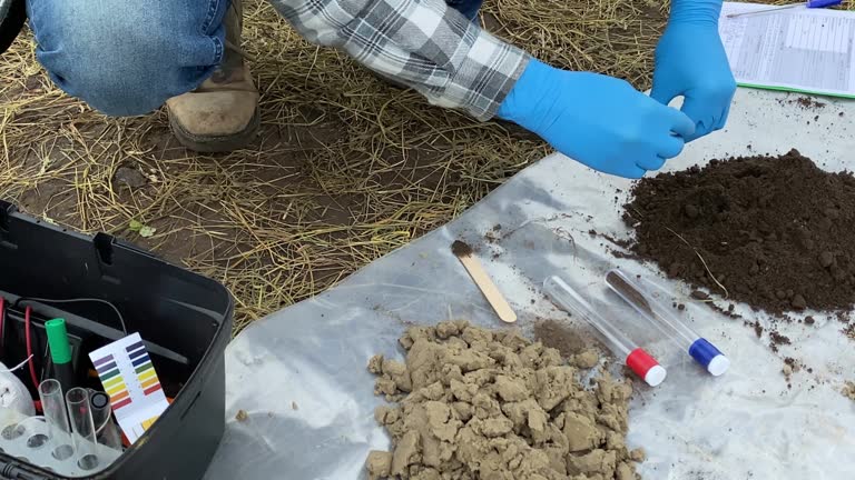 https://media.gettyimages.com/id/1413036140/video/specialist-taking-soil-sample-for-laboratory-analysis-outdoors.jpg?b=1&s=640x640&k=20&c=56Z8o_iPMkBRkMv7ySkTOuuJMm2OwuPxhPz5sFzyoJ0=