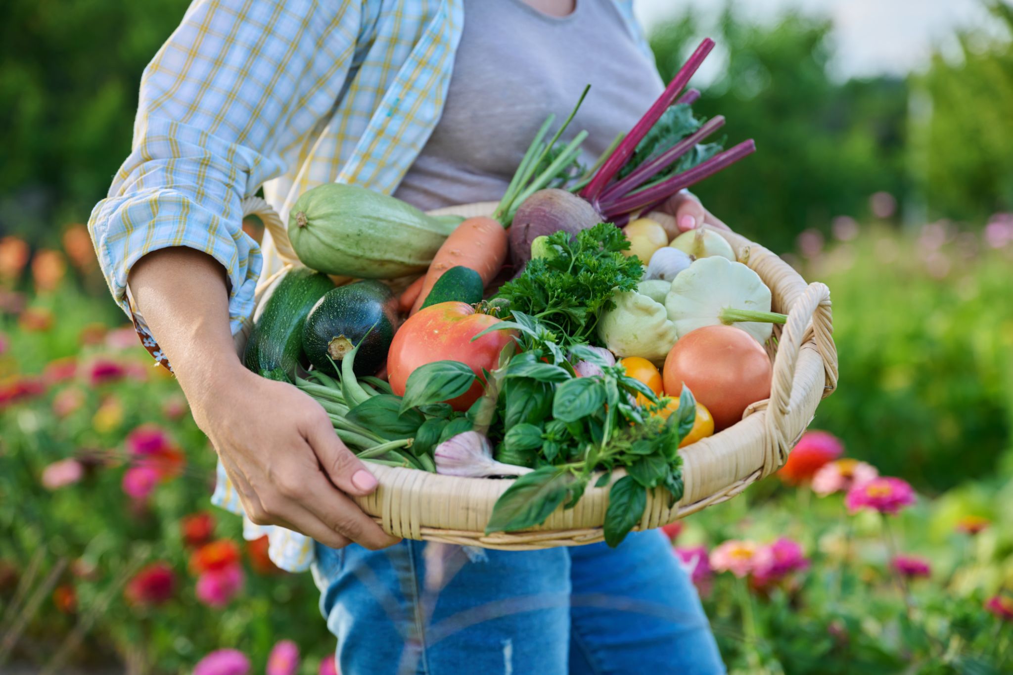Close up basket of fresh raw organic vegetables in farmer hands Close up basket of fresh raw organic vegetables in farmer hands