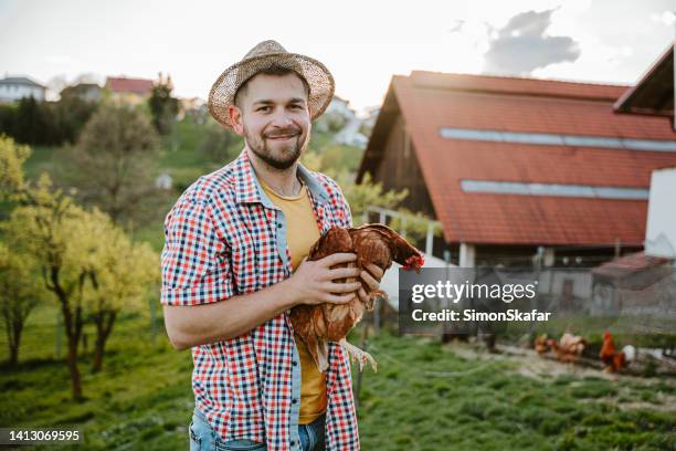 happy male farmer holding chicken on farm - animal welfare chicken stock pictures, royalty-free photos & images