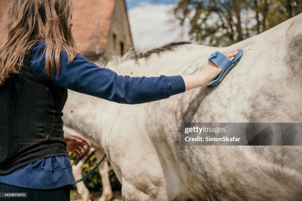 Adolescente arreglando su caballo con cepillo en club ecuestre