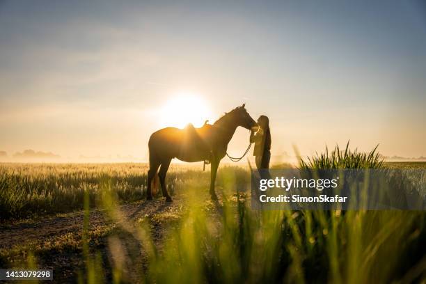 full length of woman embracing horse while standing on field during sunset - paarden stockfoto's en -beelden