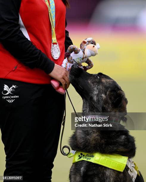 Team Wales guide dog is seen during Para Mixed Pairs B2/B3 - Medal ceremony on day eight of the Birmingham 2022 Commonwealth Games at Victoria Park...