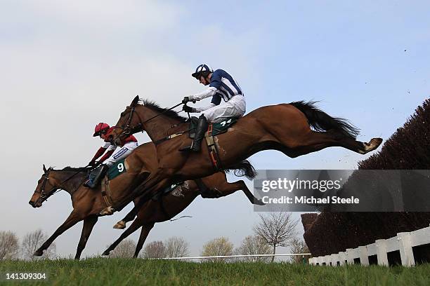 Teaforthree ridden by JT McNamara on his way to winning the Diamond Jubilee National Hunt steeple chase race at Cheltenham Racecourse on March 14,...