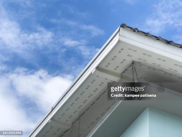 bird nesting guard under the building roof - dakgoot stockfoto's en -beelden